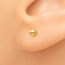 14K Polished 3mm Ball Post Earrings - 3 mm