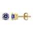 14k Tanzanite Post Earrings