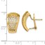 14K Two-tone Polished D/C Omega Back Earrings - 18 mm