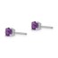 14k White Gold 4 mm Amethyst Earrings