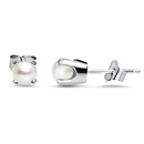 14k White Gold 4 mm Freshwater Pearl Stud Earrings