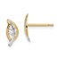 14k & White Rhodium Leaf Post Earrings - 38 mm