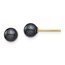 14k Yellow Au Round Black Akoya Pearl Stud Post Earrings - 5-6 mm