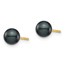 14k Yellow Au Round Black Akoya Pearl Stud Post Earrings - 5-6 mm