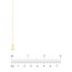 14K Yellow Gold .55mm Box Chain with 5.0mm Spring Ring - 24 in.