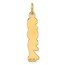 14K Yellow Gold and Satin Vertical 2024 Charm - 28.25 mm