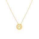 14K Yellow Gold Cutout Paw Mini Disc Rope Necklace - 16"-18"
