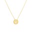 14K Yellow Gold Cutout Paw Mini Disc Rope Necklace - 16"-18"