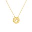 14K Yellow Gold Cutout Paw Mini Disc Rope Necklace - 16"-18"