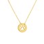 14K Yellow Gold Cutout Paw Mini Disc Rope Necklace - 16"-18"