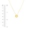 14K Yellow Gold Cutout Paw Mini Disc Rope Necklace - 16"-18"