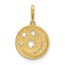 14K Yellow Gold CZ Moon and Stars in Disc Pendant - 16.6 mm