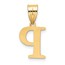 14K Yellow Gold Etched Letter P Initial Pendant - 20 mm