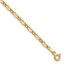 14K Yellow Gold Fancy Link 9in Plus 1in extension Anklet - 10 in.