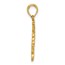 14K Yellow Gold Lion Head with Crown Pendant - 25 mm