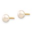 14k Yellow Gold Pink Button Pearl Stud Post Earrings - 4-5 mm