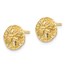 14k Yellow Gold Sand Dollar Post Earrings