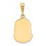 14K Yellow Gold Satin Jesus Medal Pendant - 25.3 mm