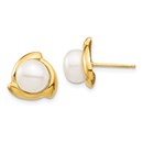 14k Yellow Gold White Button Cultured Pearl Post Earrings - 10 mm
