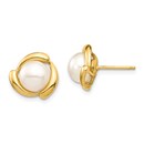 14k Yellow Gold White Button Cultured Pearl Post Earrings 7-8 mm