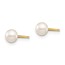 14k Yellow Gold White Button Pearl Stud Post Earrings - 4-5 mm