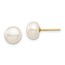 14k Yellow Gold White Button Pearl Stud Post Earrings - 7-8 mm