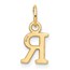 14K Yellow Goldy Cutout Letter R Initial Pendant - 15 mm