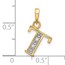 14K Yellow & Rhodium Diamond Letter T Initial Pendant - 19 mm