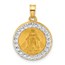 14K Yellow & Rhodium Miraculous Mary Back Medal - 21.3 mm