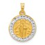 14K Yellow & Rhodium St. Jude Thaddeus Medal - 22.5 mm
