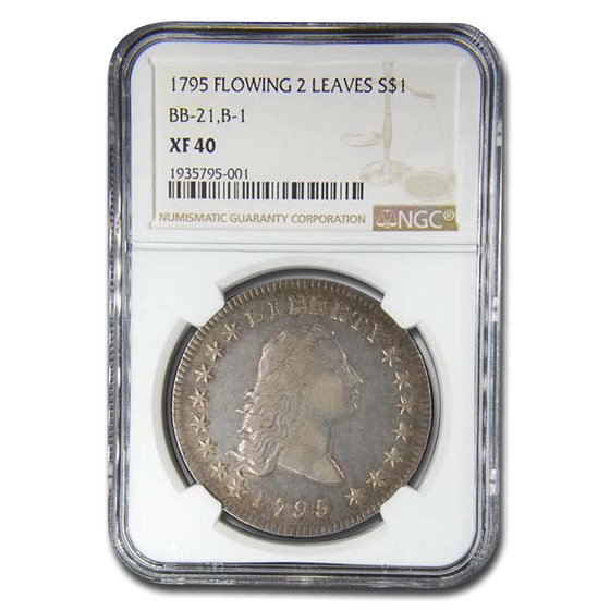 1795 Draped Bust Dollar XF-40 NGC (Flowing 2 Leaves, BB-21, B-1) 1795 Draped Bust Dollar XF-40 NGC (Flowing 2 Leaves, BB-21, B-1)