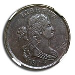 1804 Draped Bust Half Cent AU-58 NGC CAC (Brown, Spiked Chin)