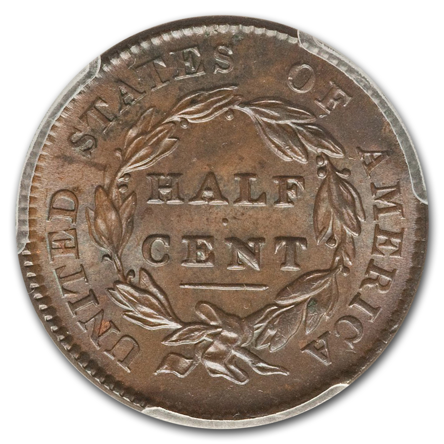 1825 (None) Phil Classic Head Half Cent Value | BN - APMEX