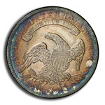 1834 Capped Bust Half Dollar MS-65+ PCGS CAC (Lg Date,Sm Letters)