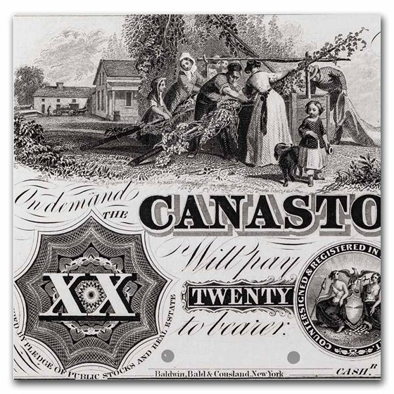 Buy 1850s 20 Canastota Bank Canastota, New York CU63 PMG (Proof) APMEX