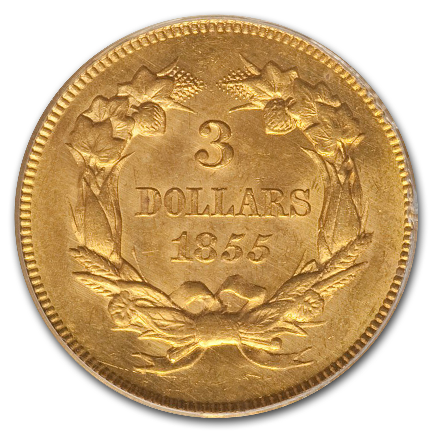 Theory 19AW アンサンブル 定価5.5万円 1855-O Seated Liberty Half Dollar 50c w/Arrows New Orleans Mint