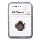 1856 Flying Eagle Cent PF-65 NGC