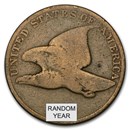 1857-1858 Flying Eagle Cents Avg Circ