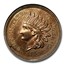 1858 Indian Head Transitional Pattern Cent PF-64 NGC (J-213)