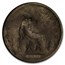 1860-1895 Great Britain Victoria Young Head Penny Cull (Random)