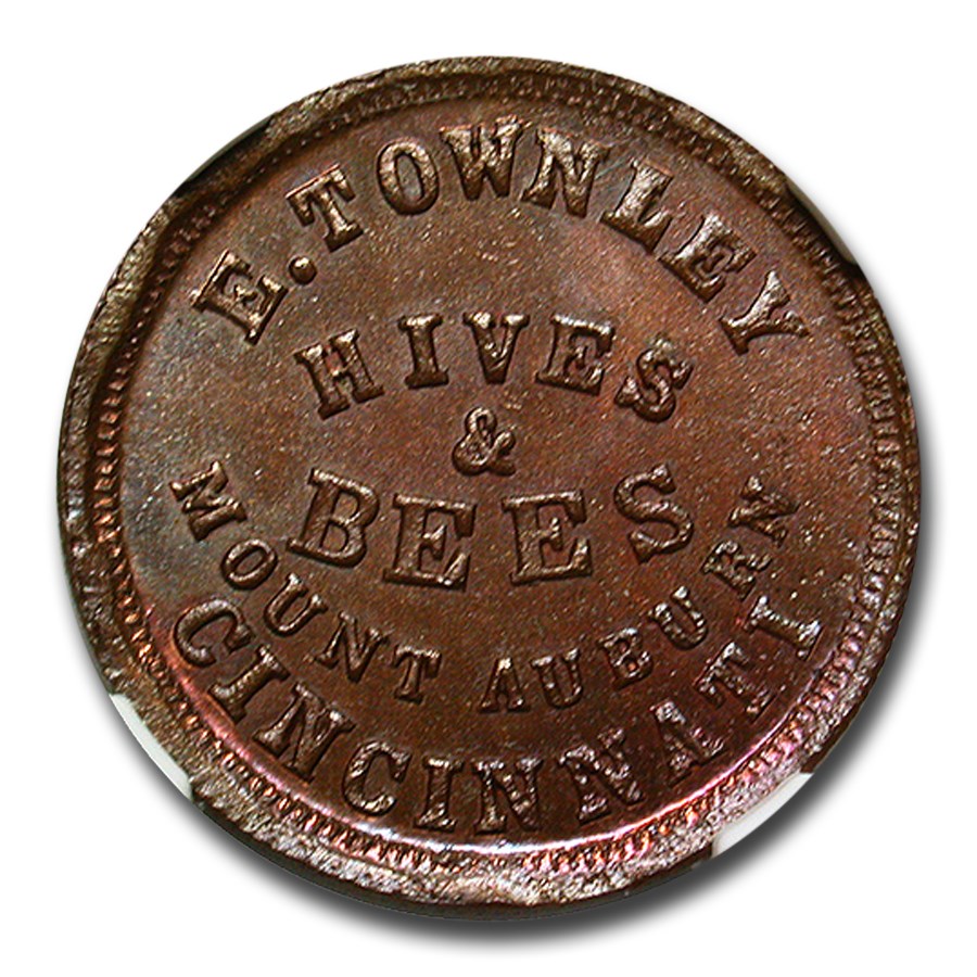 1864 E. Townley Hives & Bees Civil War Token MS-65 NGC (BN F-165)