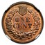 1869 Indian Head Cent MS-63 NGC (Red/Brown)