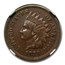 1870 Indian Head Cent XF-45 NGC (Brown)