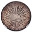 1876-Go FR Mexico Silver 8 Reales MS-62 NGC