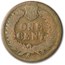 1876 Indian Head Cent AG