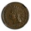 1876 Indian Head Cent AU-55 NGC CAC (Brown)