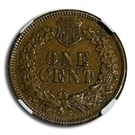 1876 Indian Head Cent AU-55 NGC CAC (Brown)