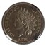 1876 Indian Head Cent PF-65 NGC (Brown)
