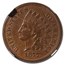 1877 Indian Head Cent XF-40 NGC (Brown)