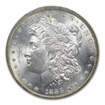 1878-1904 Morgan Dollars MS-63 NGC (Toned, Obv/Rev)
